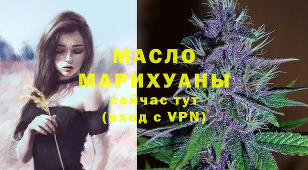 крисы Магас