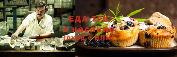 крисы Магас