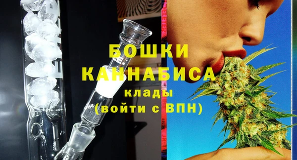 крисы Магас